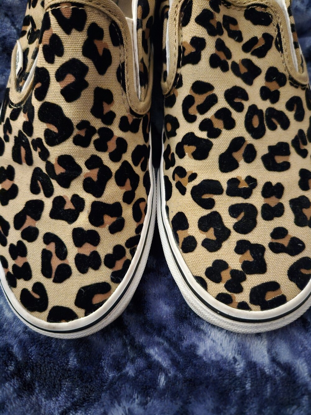Vans - Picture 2 of 4